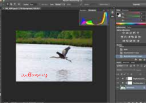 Photoshop Free Download For Windows 10{PC}