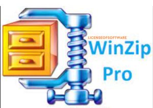 Winzip Pro Crack Activation Code + Keygen [2023]