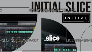 Initial Audio Slice Crack